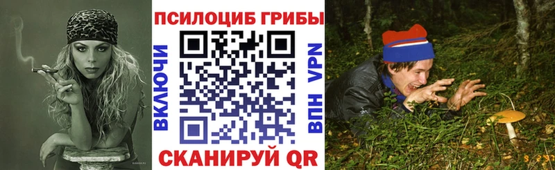 Галлюциногенные грибы Magic Shrooms  Петровск 
